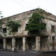 Image for article titled Abandoned Buildings In Tampico, Mexico Are Filled With Trees